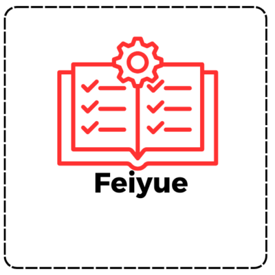 Feiyue  DCY-113