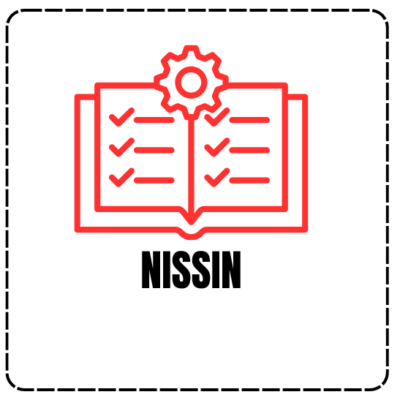 Nissin 555